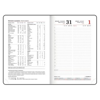 Ежедневник датированный 2026, А5, Brauberg Ice, под кожу, черный 9