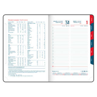 Ежедневник датированный 2026, А5, 148х218 мм, GALANT 'White', под кожу, белый 11