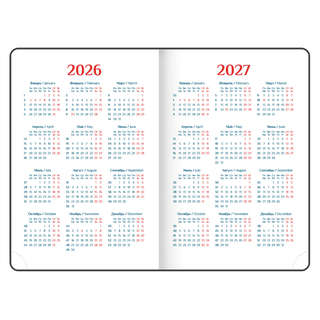 Ежедневник датированный 2026, А5, 148х218 мм, GALANT 'White', под кожу, белый 7