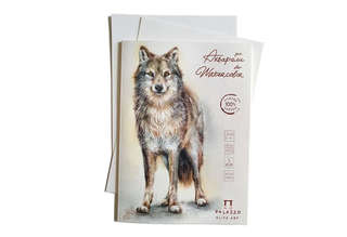 Папка для акварели А4, 5 листов, 250 г/м2, 100% хлопок, 'Поля...