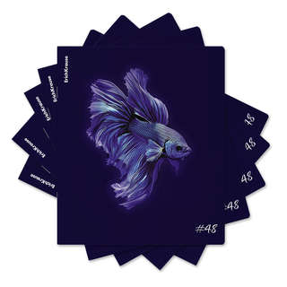 Тетрадь общая А5, 48 листов в клетку, ErichKrause Indigo, в а...