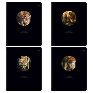 Тетрадь А5, 48 листов в клетку, BG 'Кто ты внутри?', в ассорт...