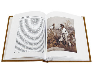 Вечера на хуторе близ Диканьки (подарочное издание) 7