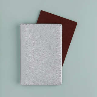 Обложка для паспорта Bruno Visconti, серебро 4