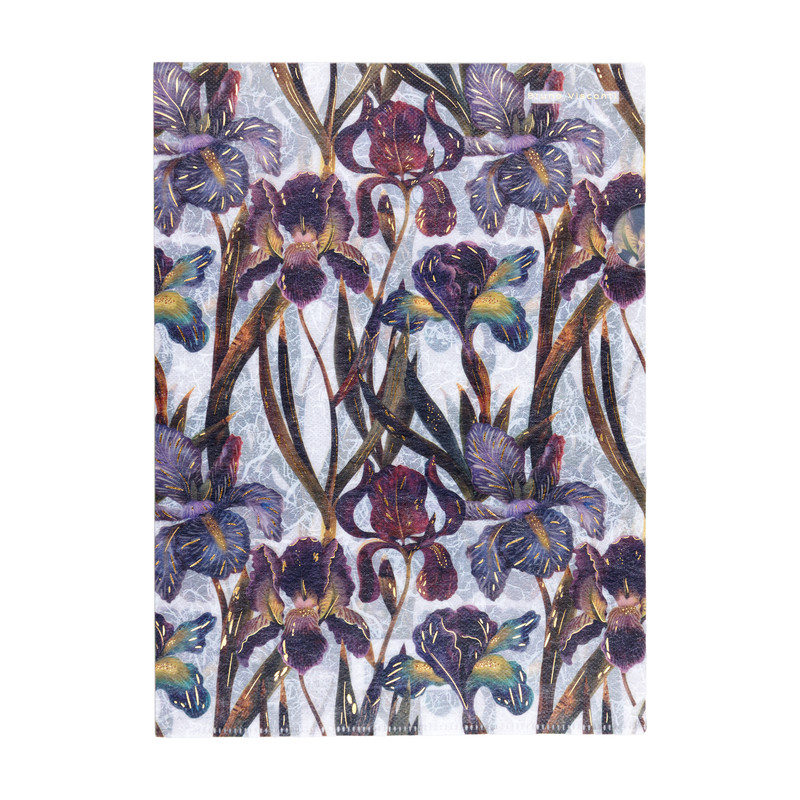 Папка-уголок А4, 22х31 см, BV Flora: Ирисы