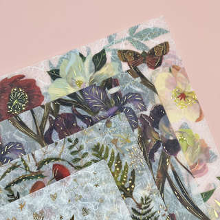 Папка-уголок А4, 22х31 см, BV Flora: Луговые травы 2