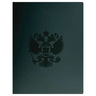 Папка с боковым зажимом А4, пластик, СТАММ 'Герб', изумруд 2