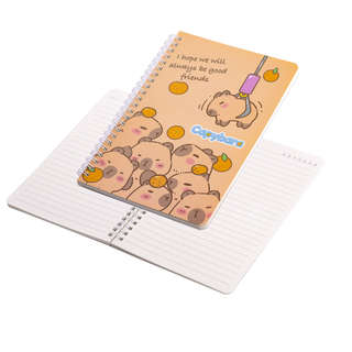 Набор школьный Alingar, 'Capybara', 26 предметов, картонная коробка 5