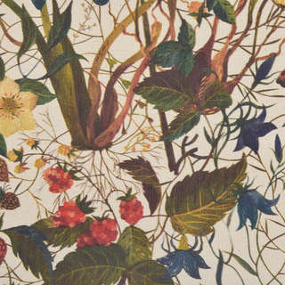 Папка на молнии А4, 37х27 см, BV Flora: Лесные ягоды 5