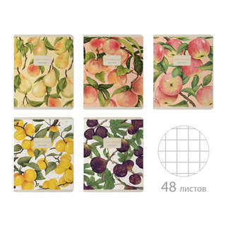 Тетрадь общая А5, 48 листов в клетку, BV Flora: Fruits, в асс...