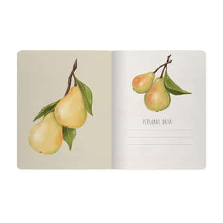 Тетрадь общая А5, 48 листов в клетку, BV Flora: Fruits, в ассортименте. Цена за 1 шт. 7