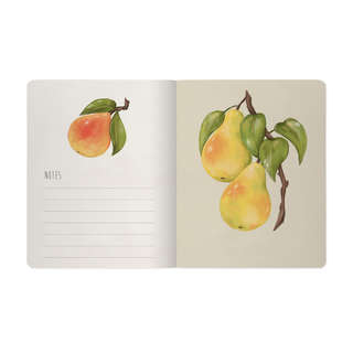Тетрадь общая А5, 48 листов в клетку, BV Flora: Fruits, в ассортименте. Цена за 1 шт. 9