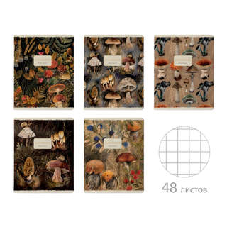 Тетрадь общая А5, 48 листов в клетку, BV Flora: Forest Fairy ...