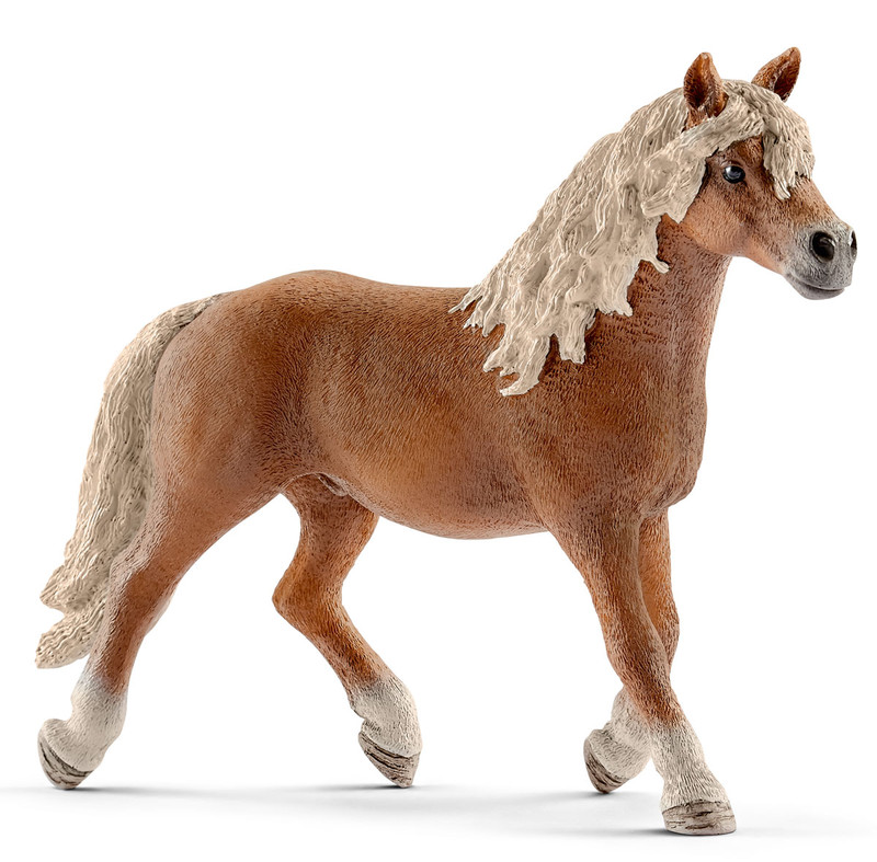 Schleich Фигурка Жеребец Хафлингер 13813
