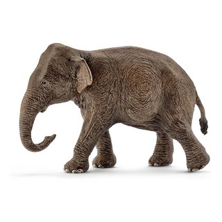 Schleich Фигурка Азиатский слон самка 14753