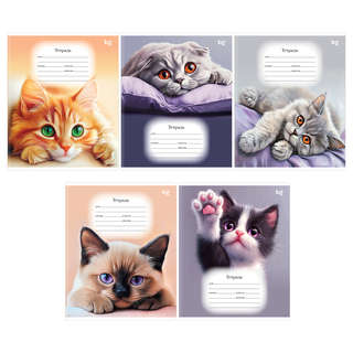 Тетрадь 18 листов, А5, клетка BG 'Purple cats', обложка в асс...