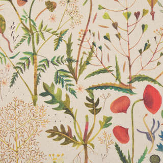 Папка на молнии А4, 37х27 см, BV Flora: Луговые травы 5