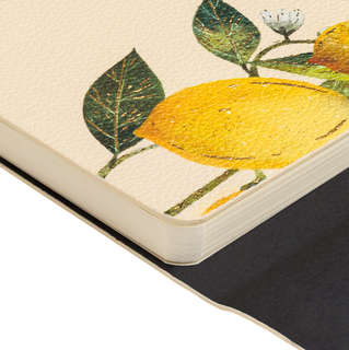 Ежедневник недатированный А5, 192 страницы, на резинке, BV Flora: Лимоны 3