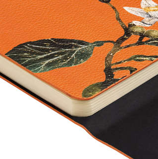 Ежедневник недатированный А5, 192 страницы, на резинке, BV Flora: Апельсины 3