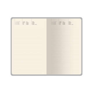 Ежедневник недатированный А5, 192 страницы, на резинке, BV Flora: Апельсины 4