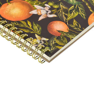 Тетрадь А5 (14х21 см) 60 листов в клетку, на спирали, BV Flora Paradise: Апельсины 3