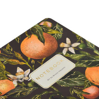Тетрадь А5 (14х21 см) 60 листов в клетку, на спирали, BV Flora Paradise: Апельсины 4