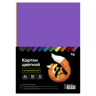 Картон цветной А4, 10 цветов, 50 листов, тонированный, BG