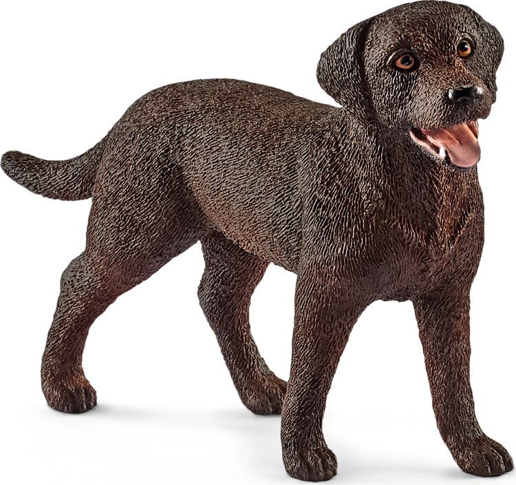 Schleich Фигурка Лабрадор 13834/12556