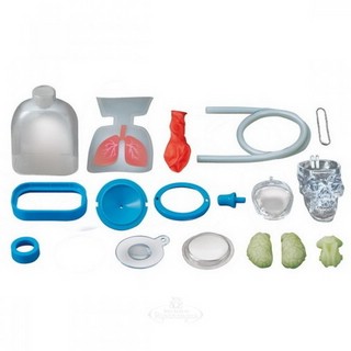 Юный врач. Анатомия человека, Игровой набор, 4M 2