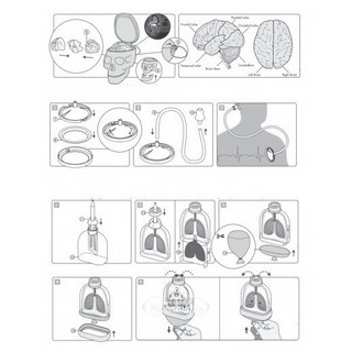 Юный врач. Анатомия человека, Игровой набор, 4M 3