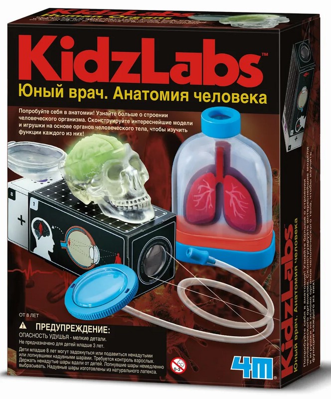 Юный врач. Анатомия человека, Игровой набор, 4M