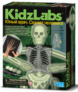 Юный врач. Скелет человека. Конструктор 4M 1