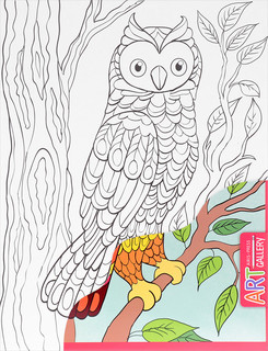 Основа для творчества 'Сова'