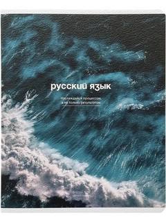 Предметная тетрадь 'Русский язык', 48 листов, клетка, Be Smar...