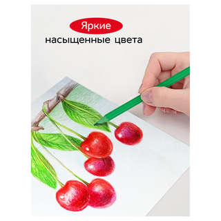 Карандаши цветные пластиковые 36 цветов, заточенные, ПВХ, Гамма 'Мультики' 7