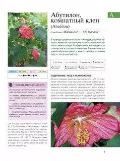 Библия комнатных растений. 2