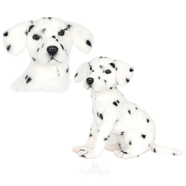Далматинец сидящий, 30 см, Hansa