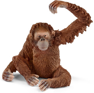 Schleich Фигурка Орангутан самка 14775 2