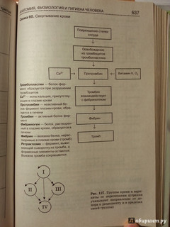 Биология. Справочник для школьников и поступающих в вузы. ФГОС 11