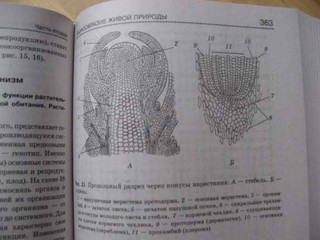 Биология. Справочник для школьников и поступающих в вузы. ФГОС 19