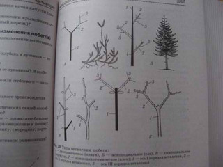 Биология. Справочник для школьников и поступающих в вузы. ФГОС 20
