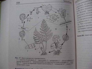 Биология. Справочник для школьников и поступающих в вузы. ФГОС 21
