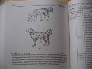 Биология. Справочник для школьников и поступающих в вузы. ФГОС 22