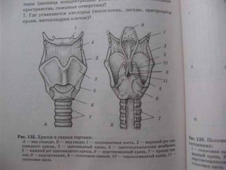 Биология. Справочник для школьников и поступающих в вузы. ФГОС 23