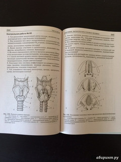 Биология. Справочник для школьников и поступающих в вузы. ФГОС 36