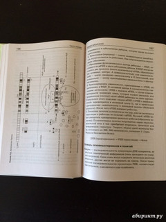Биология. Справочник для школьников и поступающих в вузы. ФГОС 39