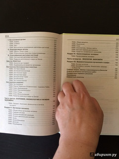 Биология. Справочник для школьников и поступающих в вузы. ФГОС 40