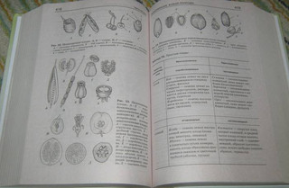 Биология. Справочник для школьников и поступающих в вузы. ФГОС 41