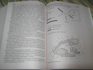Биология. Справочник для школьников и поступающих в вузы. ФГОС 42