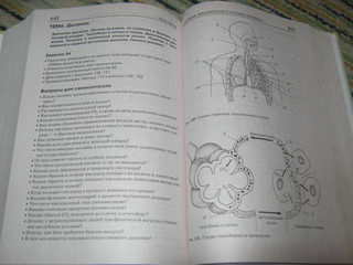 Биология. Справочник для школьников и поступающих в вузы. ФГОС 43